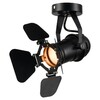 Миниатюра фото потолочный светильник lussole loft expression lsp-9838 | 220svet.ru