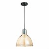 Миниатюра фото подвесной светильник evoluce sle114723-01 | 220svet.ru