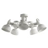 Миниатюра фото потолочная люстра arte lamp martin a5216pl-5wg | 220svet.ru