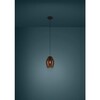 Миниатюра фото подвесной светильник eglo estanys 1 390159 | 220svet.ru