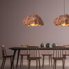 Миниатюра фото подвесной светильник imperium loft horst red 213921-23 | 220svet.ru