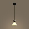 Миниатюра фото подвесной светильник freya topi fr5503pl-01b1 | 220svet.ru
