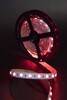 Миниатюра фото лента swg 14,4w/m  60led/m 5050smd rgb 5m swg560-24-14.4-rgb-m 009271 | 220svet.ru