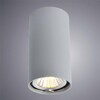 Миниатюра фото потолочный светильник arte lamp a1516pl-1gy | 220svet.ru