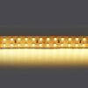 Миниатюра фото светодиодная лента теплый белый lightstar 24w/m 240led/m 5m 421503 | 220svet.ru