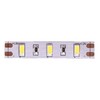 Миниатюра фото лента swg 12w/m  60led/m 5630smd холодный белый 5m swg660-12-12-w-m 009476 | 220svet.ru