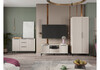 Миниатюра фото готовая гостиная комплектация 1 woodville иадама кашемир 620681 | 220svet.ru